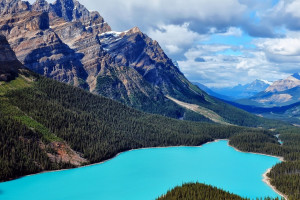 这届美洲杯太炸裂!从小组赛到决赛,冷门迭爆看点十足