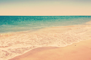 摩纳哥风情:绿茵场上的璀璨明珠,谁能摘得桂冠 摩纳哥风情:绿茵场上的璀璨明珠,谁能摘得桂冠